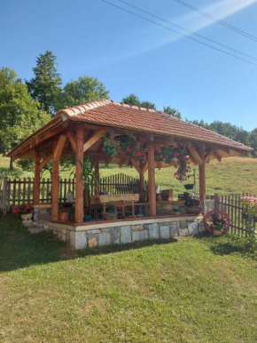 Domaćinstvo Sindžirević